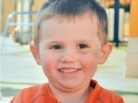 William Tyrrell's left eye was bruised after an accidental fall the last time his biological parents ever saw him.